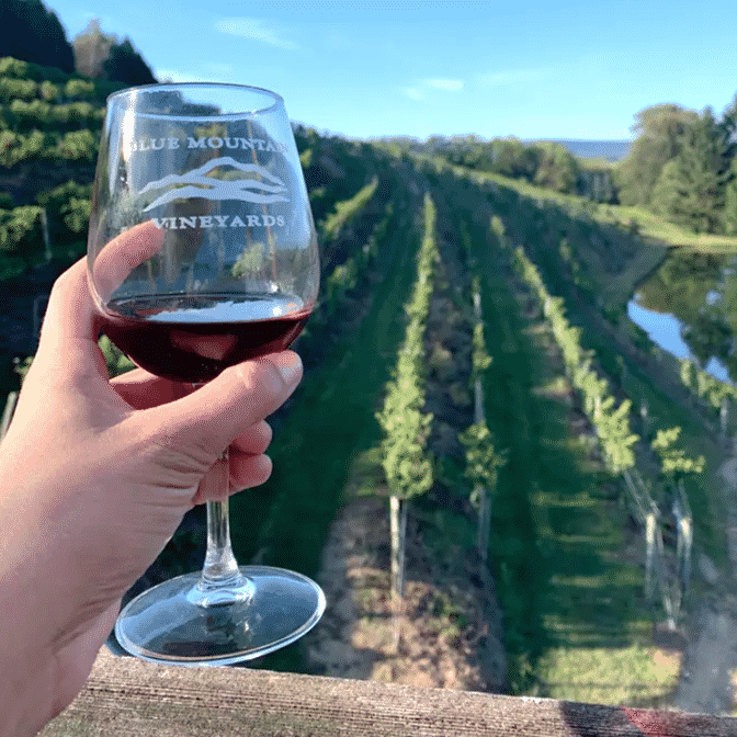 AwardWinning Wine Blue Mountain Vineyards & Cellars