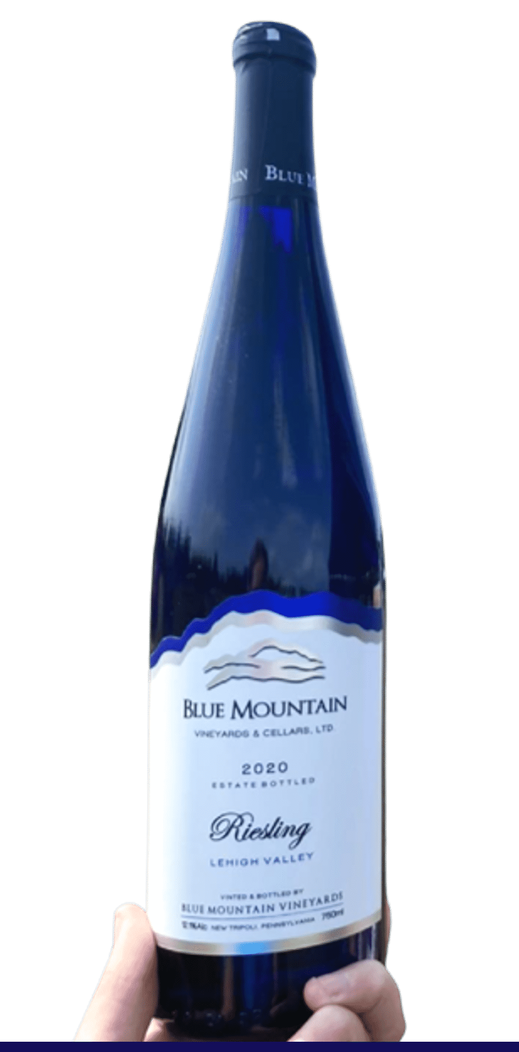 blue mountain ontario wine tour