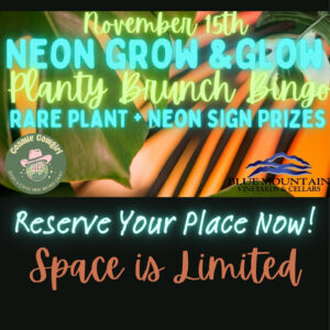 Planty Brunch Bingo - Sunday, November 15th
