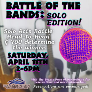 Battle of the Bands: Solo Edition - Saturday, April 11th