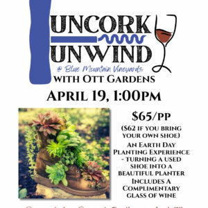 Uncork & Unwind: Soul to Sole Earth Day Planters - Sunday, April 19th
