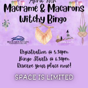 Macrame & Macarons Witchy Bingo - Friday, April 10th